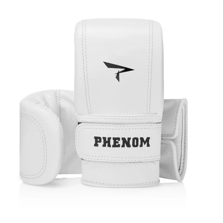 BM-100 BAG MITTS