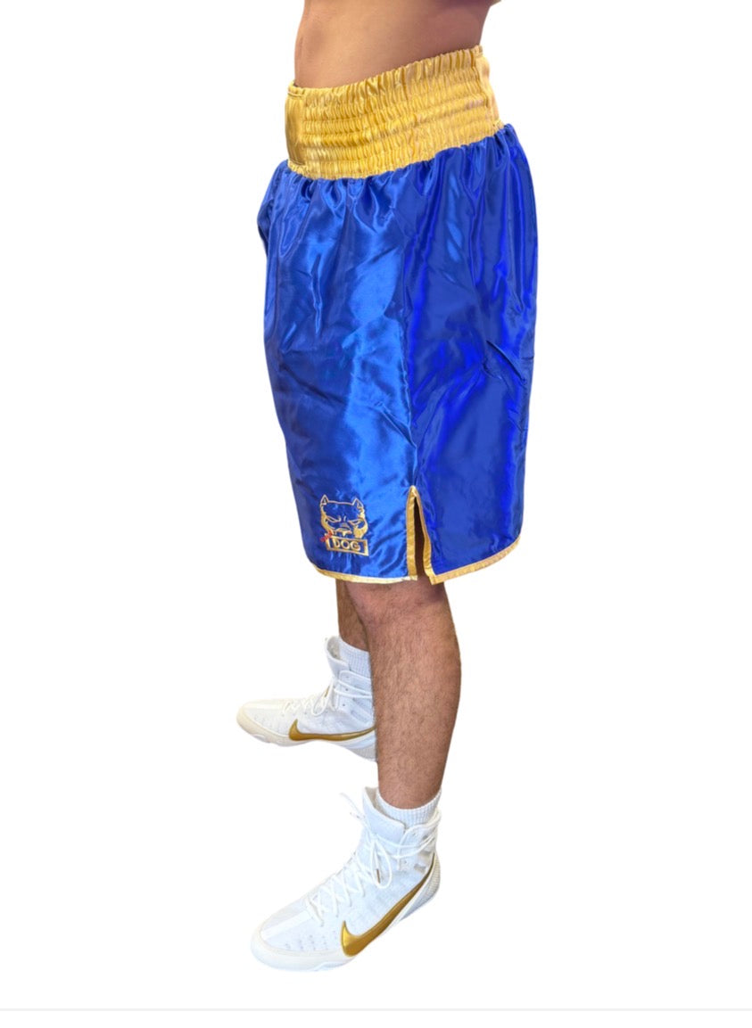 MAD DOGS CONTEST SHORTS BLUE/GOLD