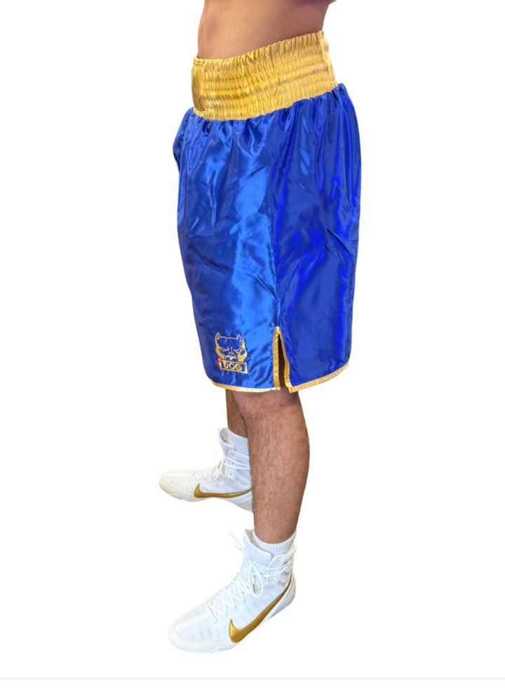 MAD DOGS CONTEST SHORTS BLUE/GOLD