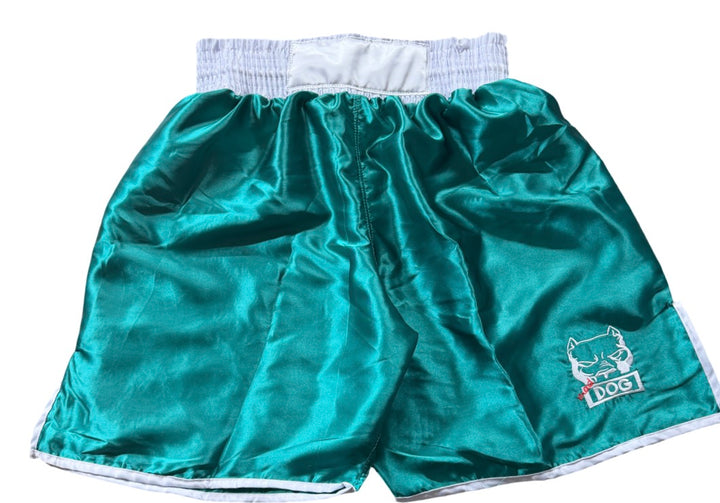 MAD DOGS CONTEST SHORTS TORQUOISE/SILVER