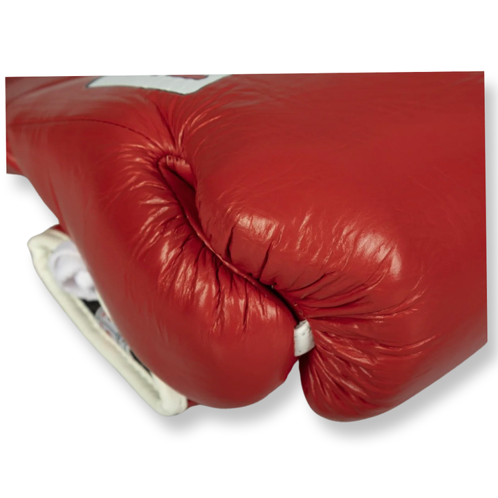 PAFFEN PRO CLASSIC PROFESSIONAL FIGHT GLOVES