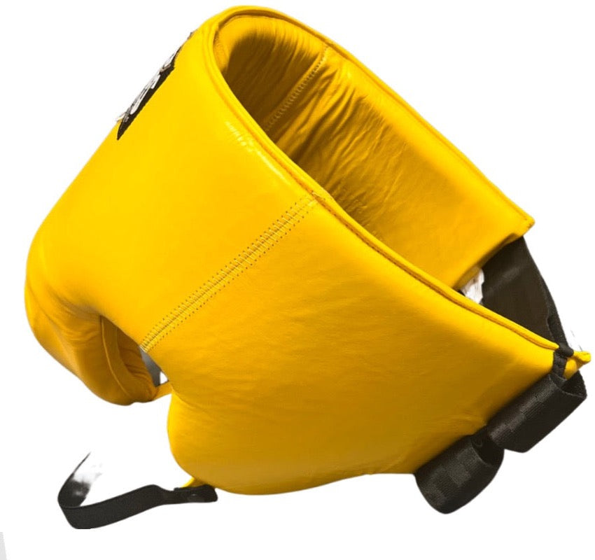 Kidney Protector CLETO REYES KIDNEY & GROIN PROTECTOR – Mad Dog's Boxing Store